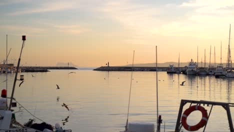 Weit-Offener-Blick-Auf-Den-Hafen-Mit-Fischerbooten-Und-Möwen,-Die-Bei-Sonnenuntergang-Fliegen