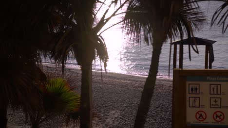 Beautiful-early-morning-view-with-palm-trees-at-beach-with-sparkling-ocean