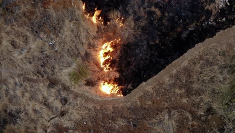 Epic-aerial-view-of-smoking-wild-fire