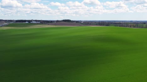 Aerial-footage-of-green-farmland-field-crops-on-picturesque-rolling-hills-with-clouds-and-blue-sky-in-4K