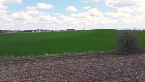 Lush-green-field-of-crops-from-Ontario-farmland-country