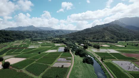 Geometric-shaped-Taro-fields-cover-a-beautiful-valley-below-mountains,-Princeville,-Kauai,-aerial