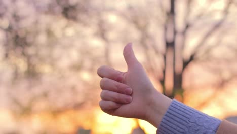 Closeup-of-female-hands-giving-thumbs-up-in-front-of-stunning-sunset-background