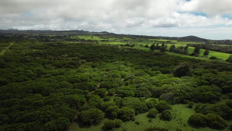 Volando-Sobre-La-Exuberante-área-Verde-Y-Salvaje-De-Hawi-En-La-Gran-Isla-De-Hawaii-Con-Nubes-Pasajeras-Y-Luz-Cambiante
