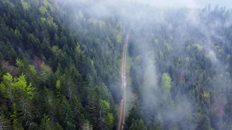 Aerial-view-of-dark-mountain-forest-with-moody-white-clouds-following-a-muddy-trail-in-Vosges,-France-4K