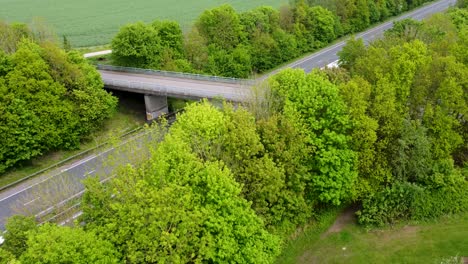 Drone-Descendiendo-Detrás-De-Los-árboles-Que-Muestran-La-Vía-De-Doble-Carro-A2-En-Canterbury