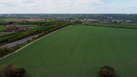 Large-green-field-in-Canterbury-that-houses-are-being-planned-to-be-built-on