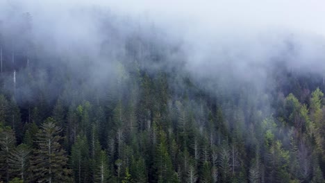 Aerial-view-of-dark-mountain-forest-with-moody-white-clouds-in-Vosges,-France-4K