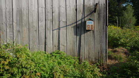 Outside-barn-wall-with-bushes-and-bug-hotel