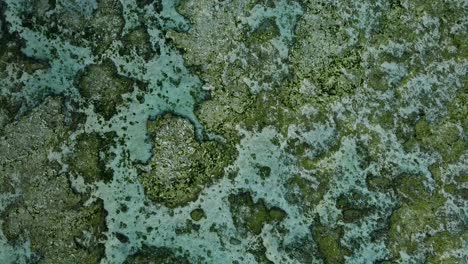 Felsiger-Meeresboden-Durch-Kristallklares-Wasser-Gesehen