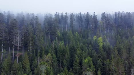 Langsamer-Luftschwenkblick-Auf-Dunklen-Bergwald-Mit-Stimmungsvollen-Weißen-Wolken-Auf-F-Bäumen-In-Den-Vogesen,-Frankreich-4k