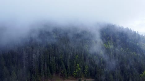 Aerial-view-of-a-dark-mountain-forest-in-spring-with-moody-clouds-in-Vosges,-France-4K