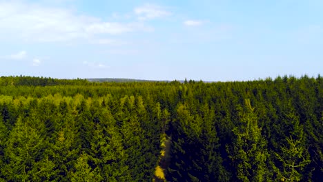 Aerial-view-of-the-Hautes-Fagnes-High-Fens-forest-in-Belgium-at-spring