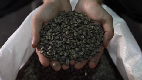 Hands-sifting-through-green-coffee-beans-in-slow-motion