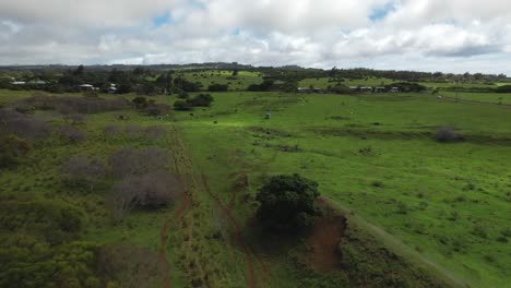 Cloud-shadows-passing-across-lush-green-Hawaiian-countryside-landscape-aerial-view
