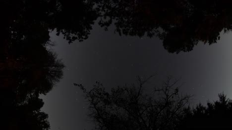Time-lapse-of-star-trail-in-middle-of-the-forest-at-cloudy-night