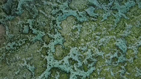 Aerial-Drone-Shot-Of-Coral-Reef-In-The-Shallows