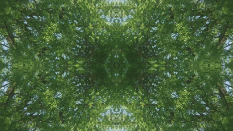 Greenery-Kaleidoscope-using-forest-imagery-from-Wissahickon-Creek,-Philadelphia,-#15