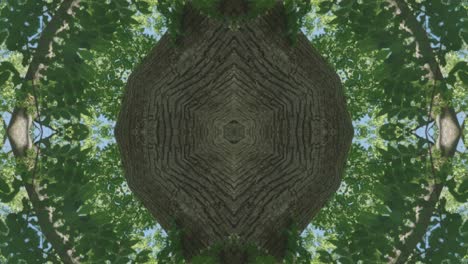 Greenery-Kaleidoscope-using-forest-imagery-from-Wissahickon-Creek,-Philadelphia,-#39