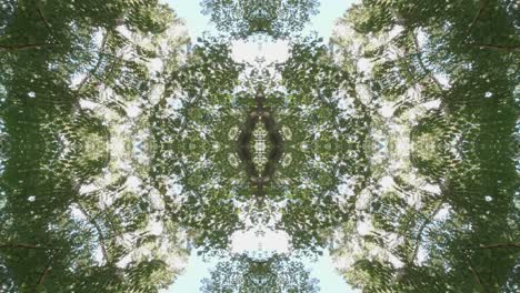 Grünes-Kaleidoskop-Mit-Waldbildern-Aus-Wissahickon-Creek,-Philadelphia,-Nr.-17