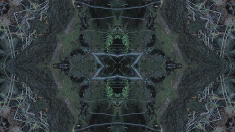 Greenery-Kaleidoscope-using-forest-imagery-from-Wissahickon-Creek,-Philadelphia,-#13