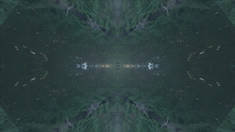 Greenery-Kaleidoscope-using-forest-imagery-from-Wissahickon-Creek,-Philadelphia,-#16
