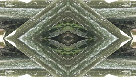 Greenery-Kaleidoscope-using-forest-imagery-from-Wissahickon-Creek,-Philadelphia,-#8