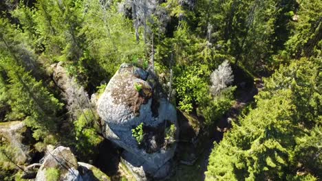 Shot-of-a-forest-in-the-Bavarian-mountains---drone-is-flying-in-birds-eye-view-flying-over-conifers-and-rocks