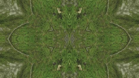 Greenery-Kaleidoscope-using-forest-imagery-from-Wissahickon-Creek,-Philadelphia,-#9