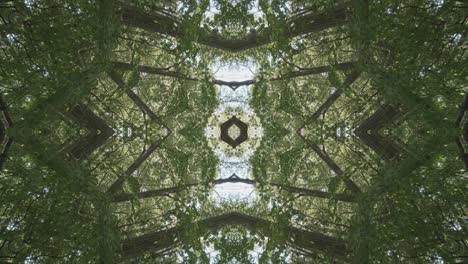 Greenery-Kaleidoscope-using-forest-imagery-from-Wissahickon-Creek,-Philadelphia,-#28