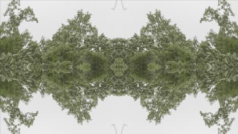 Grünes-Kaleidoskop-Mit-Waldbildern-Aus-Wissahickon-Creek,-Philadelphia,-Nr.-18