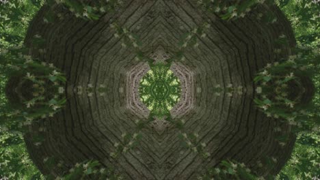 Grünes-Kaleidoskop-Mit-Waldbildern-Aus-Wissahickon-Creek,-Philadelphia,-#38