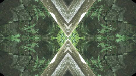 Greenery-Kaleidoscope-using-forest-imagery-from-Wissahickon-Creek,-Philadelphia,-#30