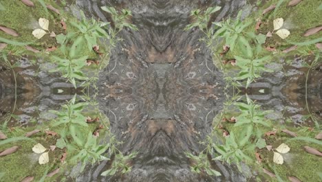 Grünes-Kaleidoskop-Mit-Waldbildern-Aus-Wissahickon-Creek,-Philadelphia,-#27