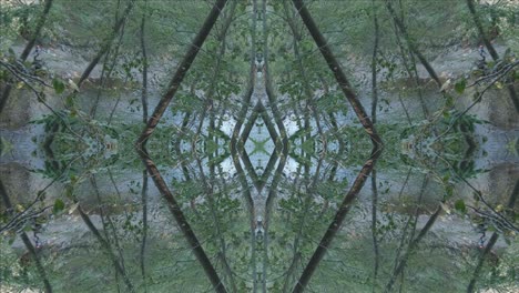 Greenery-Kaleidoscope-using-forest-imagery-from-Wissahickon-Creek,-Philadelphia,-#22