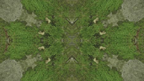 Greenery-Kaleidoscope-using-forest-imagery-from-Wissahickon-Creek,-Philadelphia,-#23