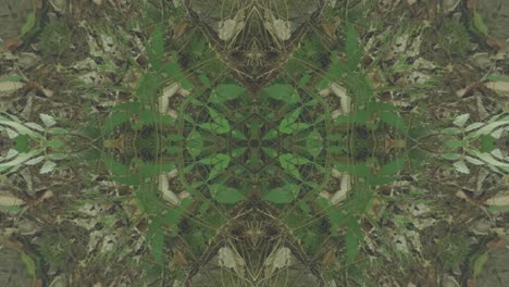 Greenery-Kaleidoscope-using-forest-imagery-from-Wissahickon-Creek,-Philadelphia,-#10