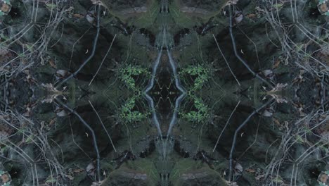 Greenery-Kaleidoscope-using-forest-imagery-from-Wissahickon-Creek,-Philadelphia,-#3