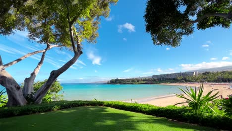 Beautiful-nature-landscape-of-a-beach-in-Hawaii-on-sunny-day-with-trees