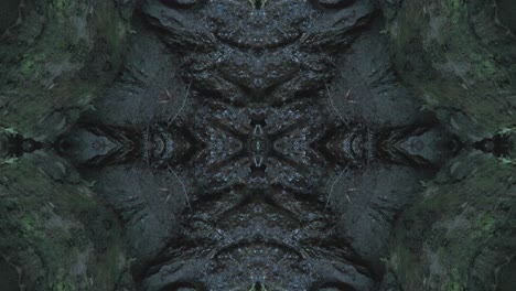 Greenery-Kaleidoscope-using-forest-imagery-from-Wissahickon-Creek,-Philadelphia,-#25