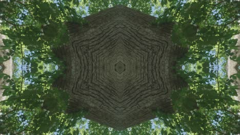 Grünes-Kaleidoskop-Mit-Waldbildern-Aus-Wissahickon-Creek,-Philadelphia,-#26