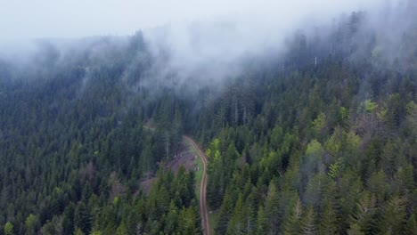 Aerial-view-of-forest-mountain-path-with-moody-white-clouds-in-Vosges,-France-4K