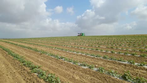 aerial-down-shot-of-field-crops-at-sdot-negev,-israel