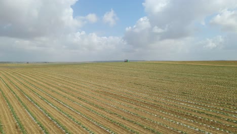 Luftaufnahme-Von-Getreidefeldern-In-Sdot-Negev,-Staat-Israel