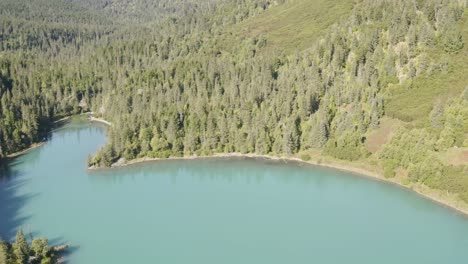 Hermosa-Toma-Aérea-De-Un-Enorme-Lago-Con-Agua-Azul-En-Medio-De-Los-Bosques-De-Pinos-En-El-Norte-De-Alaska