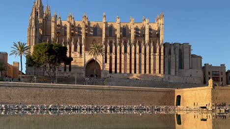Die-Kathedrale-Von-Palma-De-Mallorca,-Spanien,-An-Einem-Herrlichen-Frühlingsnachmittag-Mit-Einem-Warmen-Nachmittagslicht-Und-Einem-Warmen-Nachmittagslicht