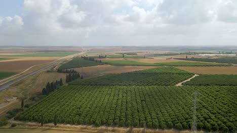 Campo-Verde-En-La-Comunidad-Israelí-Del-Distrito-Sur,-Sdot-Negev