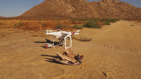 Toma-Manual-De-Drones-Y-Cebos-Para-El-Entrenamiento-De-Halcones-Peregrinos-Gyr