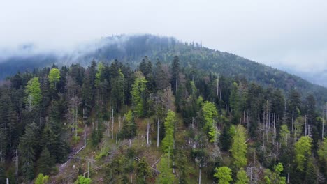 Aufsteigende-Luftaufnahme-Des-Waldes-über-Einem-Berg-Mit-Stimmungsvollen-Weißen-Wolken-In-Den-Vogesen,-Frankreich-4k