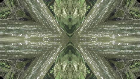 Greenery-Kaleidoscope-using-forest-imagery-from-Wissahickon-Creek,-Philadelphia,-#41